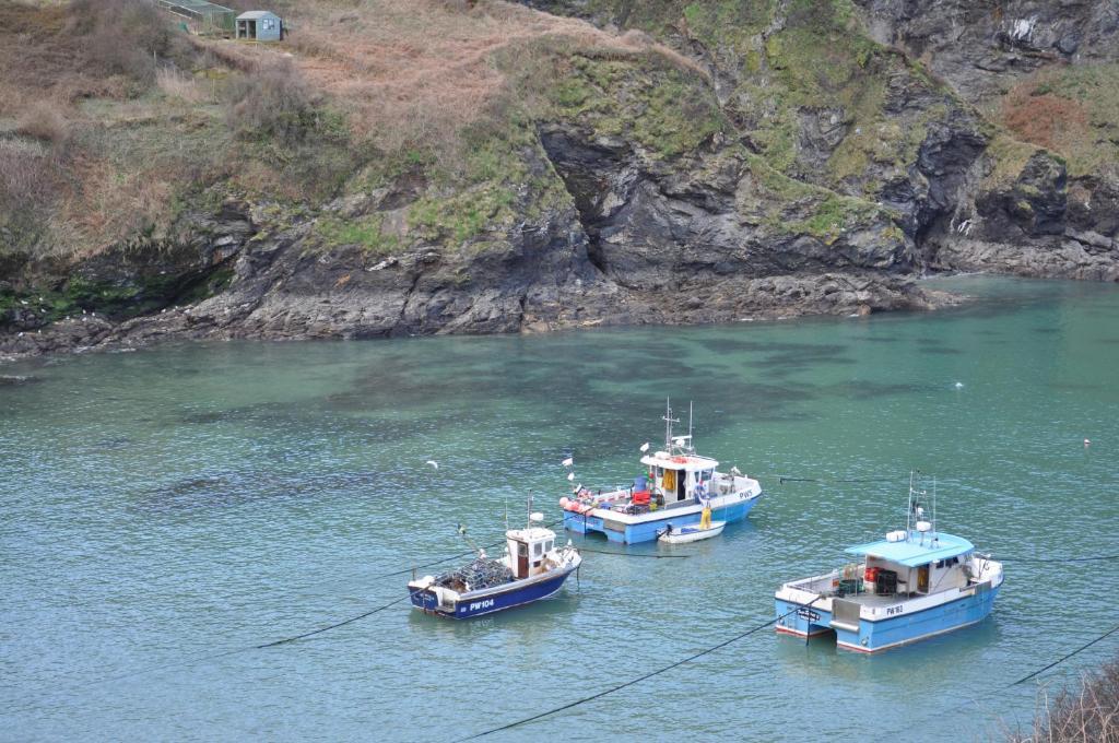 The Gallery Port Isaac Εξωτερικό φωτογραφία